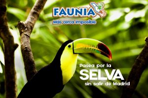 Activities with Kids in Madrid - Faunia