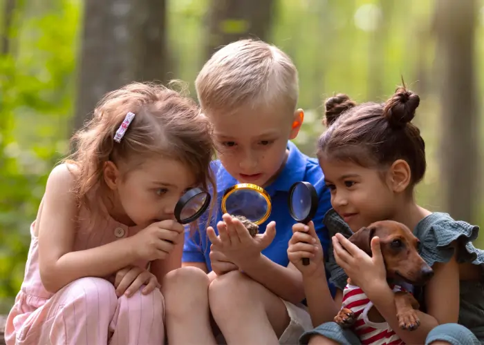 Three young children crouched together in a sunlit forest, curiously examining a small object through magnifying glasses while a small dog sits beside them.