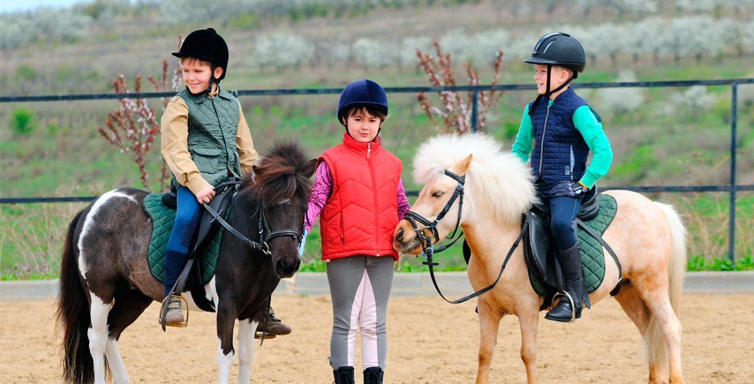 Horse riding in Madrid - LAE Kids