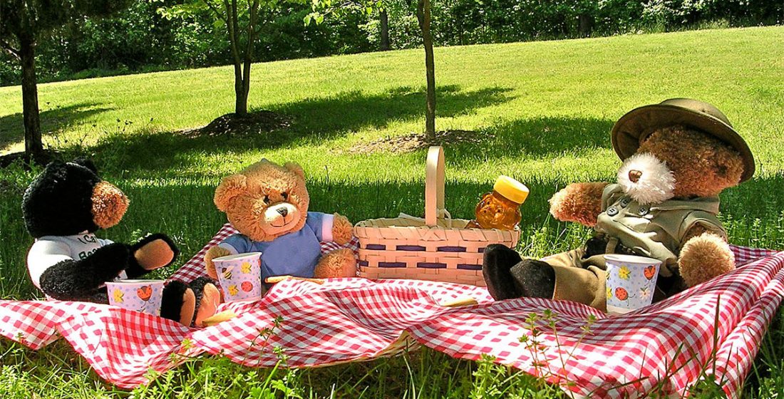 Best plans for a family picnic in Madrid